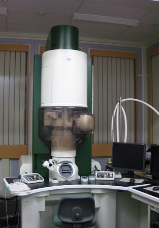TEM1の画像