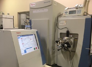 Mass spectrometer for proteome analysis