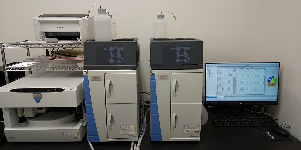 Ion chromatograph